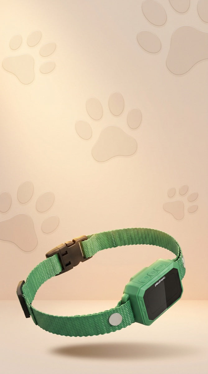 PawTronic GPS collar