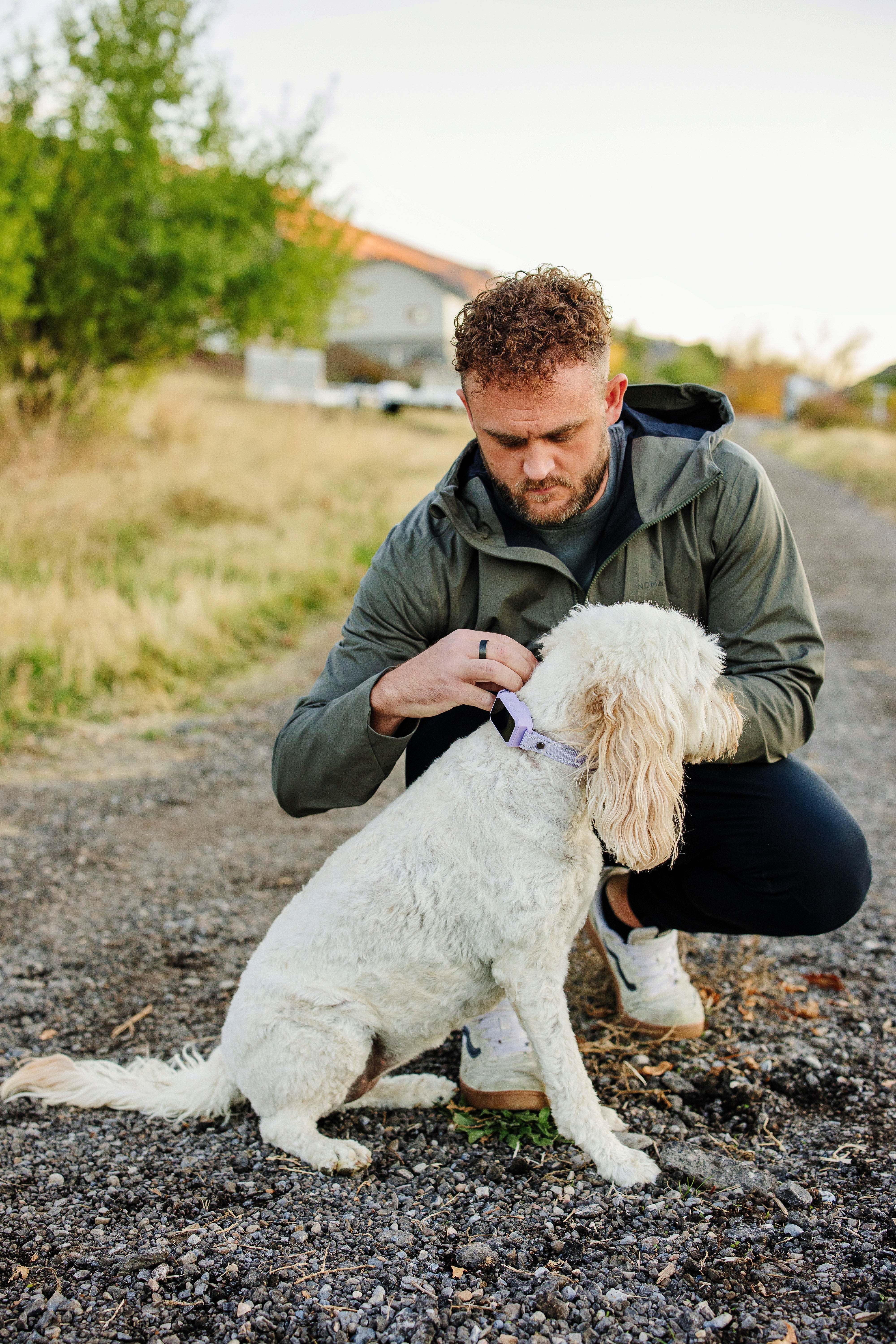 Halo Collar vs PetSafe vs PawTronic Compared